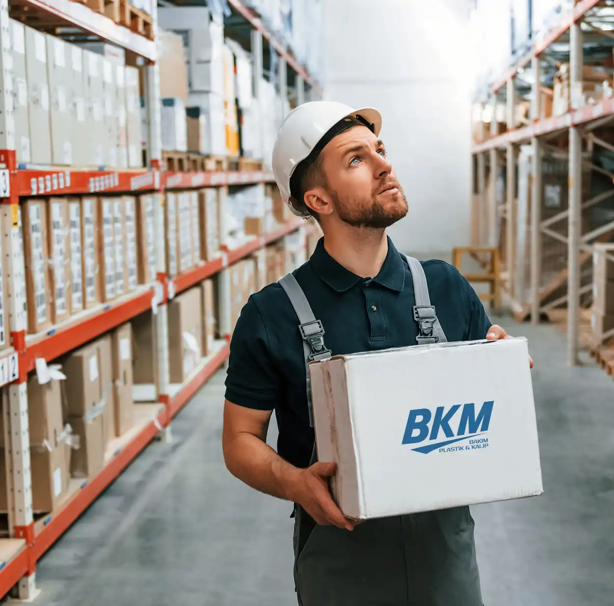 Ar-Ge ve Özelleştirme